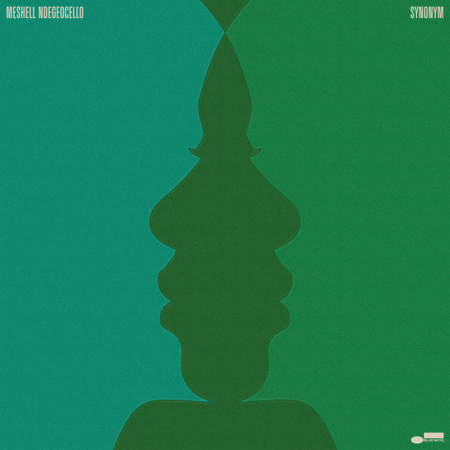 Synonym by Meshell Ndegeocello